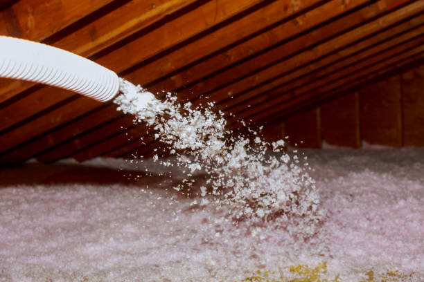 Best Residential Insulation in Karnes City, TX